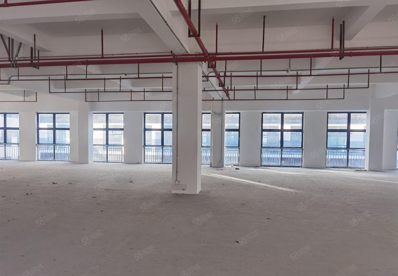 麻涌靠近广州黄埔周边原房东全新厂房出租可分租仓库出租