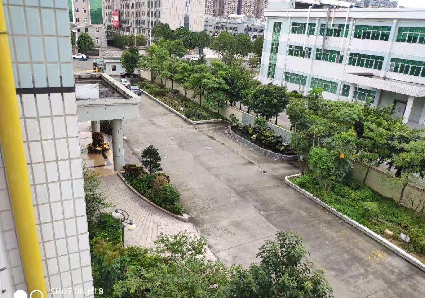 麻涌低价厂房出租可分租，一千平方以上随意分租