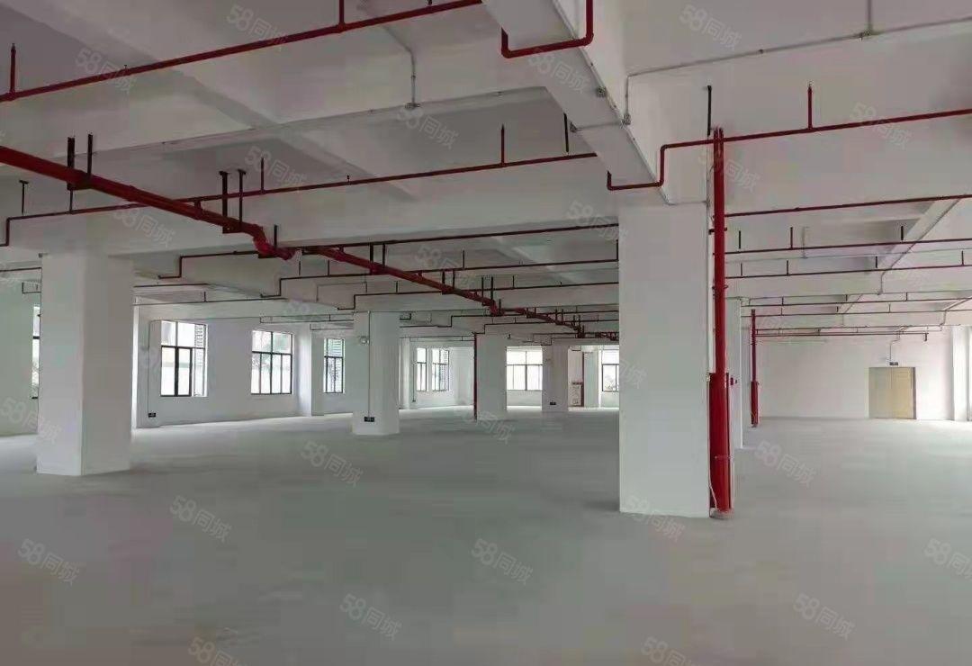 麻涌全新厂房低价厂房出租