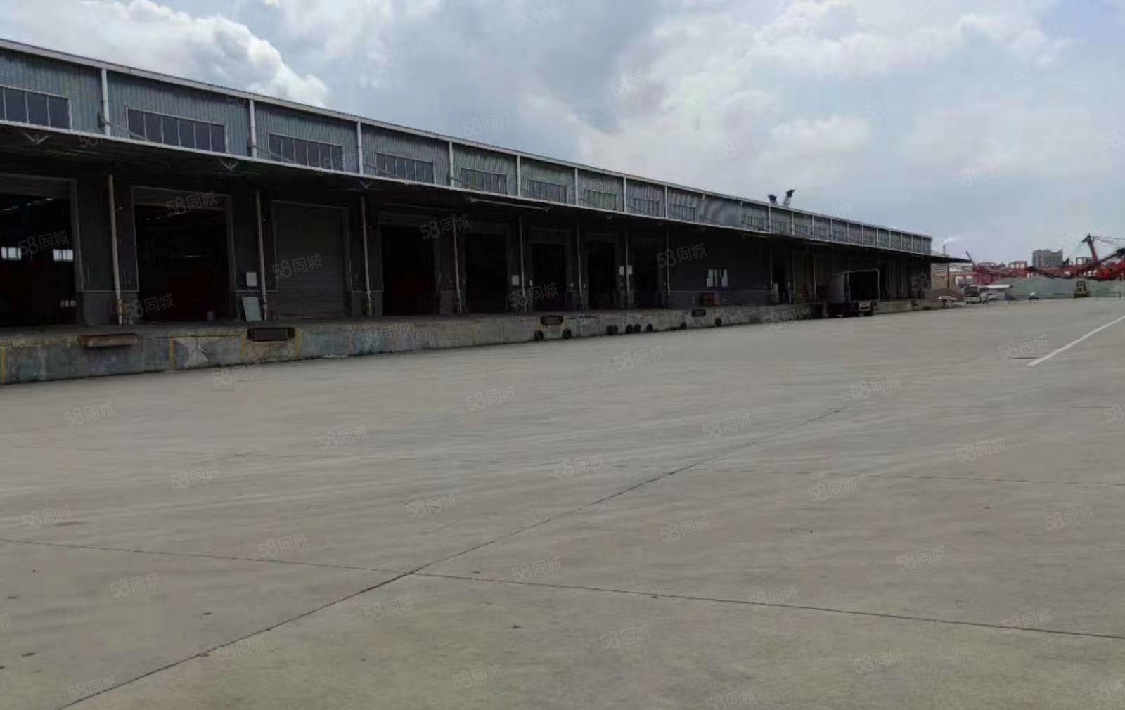 麻涌原房东5000平方高台单层仓库出租（可租2500平方）