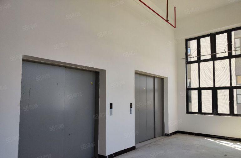 麻涌全新食品产业园出租，可分租