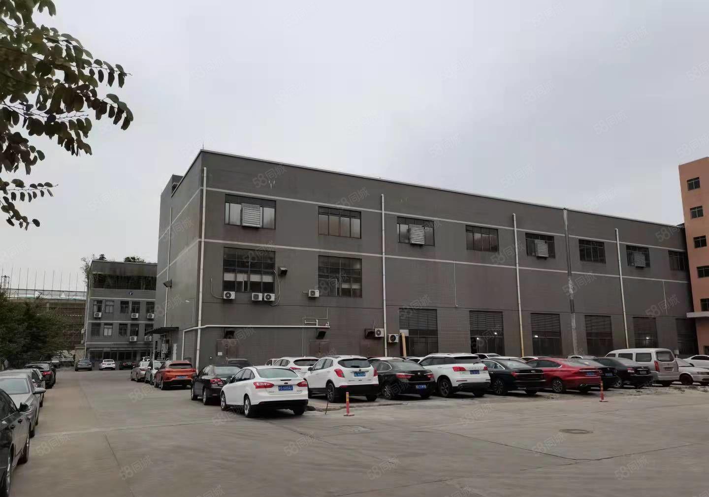 麻涌镇麻三工业区豪丰靠近黄浦厂房出租20000平