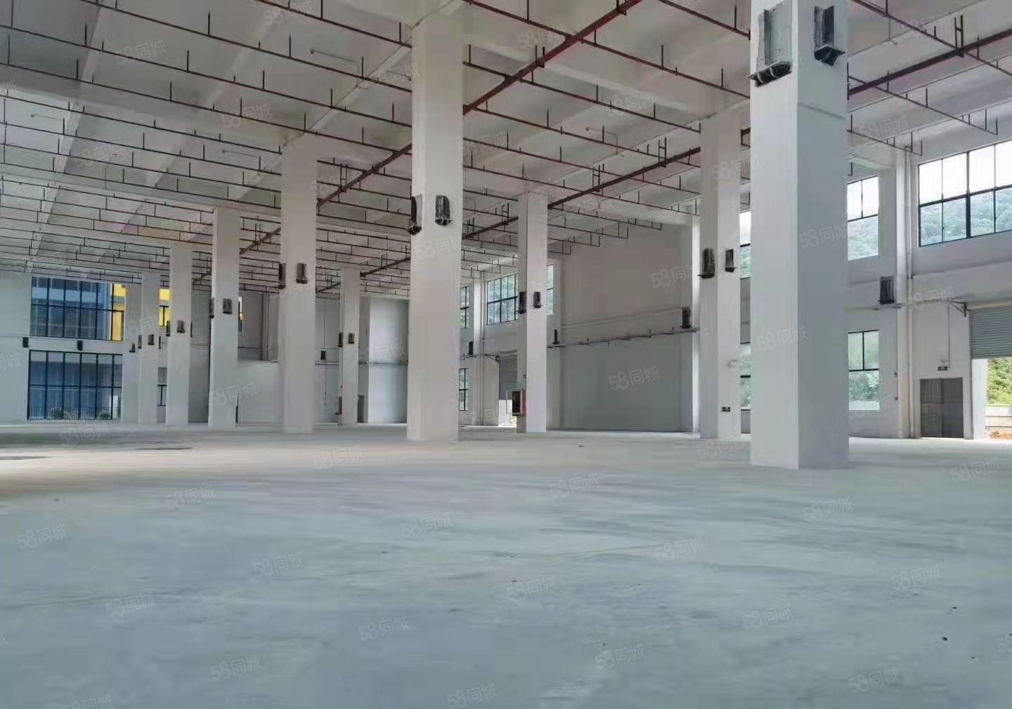 东莞麻涌高新智能电子产业园招商