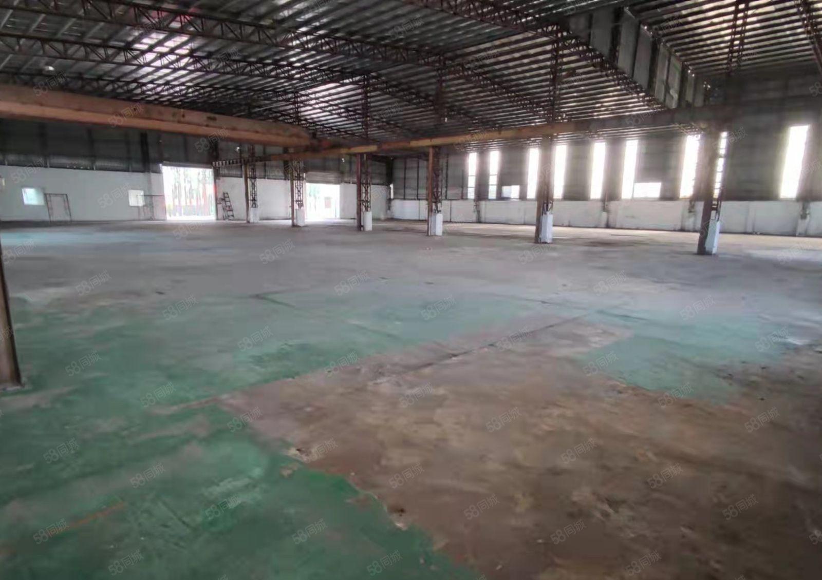 麻涌单一层厂房出租，只要17元一平方，现已经空出，随时可租可