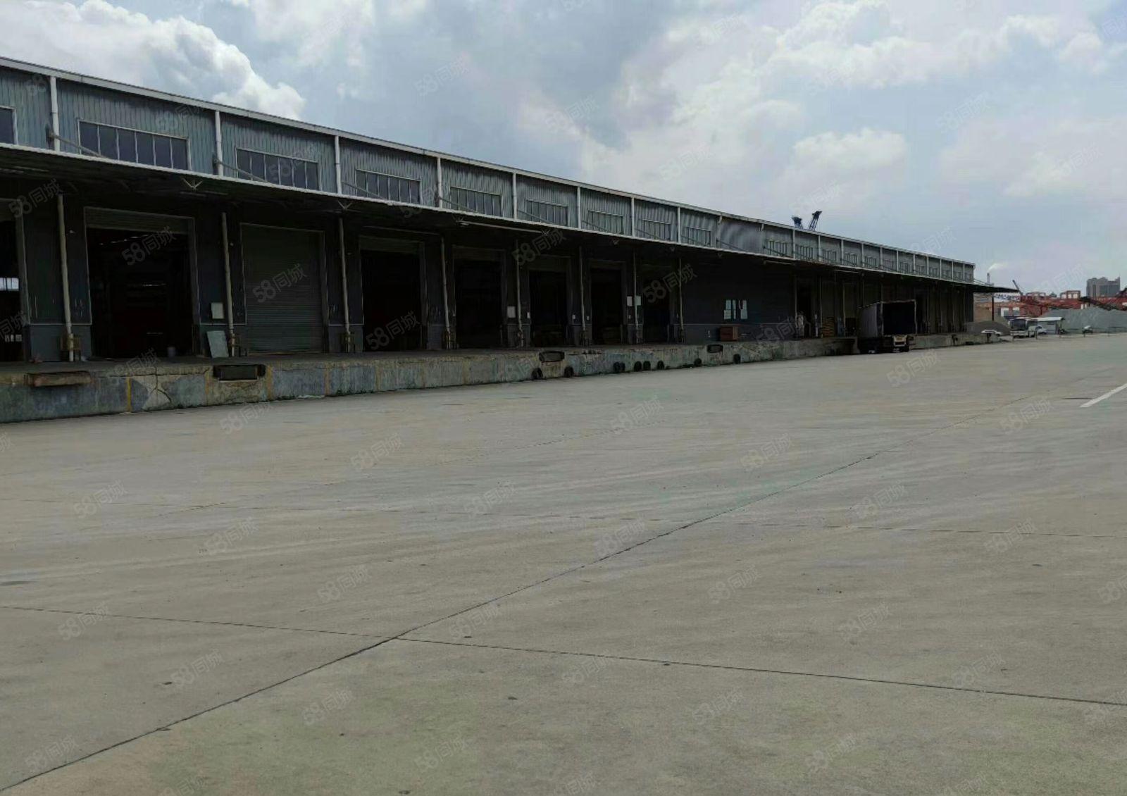 麻涌原房东5000平方高台单层仓库出租（可租2500平方）