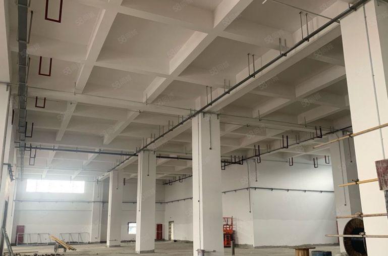 整栋，花园式厂房配套齐全，办公大厦食堂宿舍码头