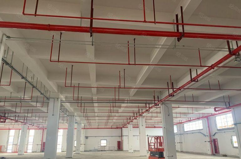 整栋，花园式厂房配套齐全，办公大厦食堂宿舍码头