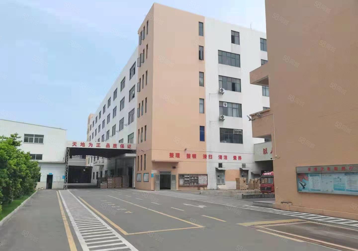 麻涌镇新出低价独院标准厂房出租面积可以分租靠近高速路口形象好