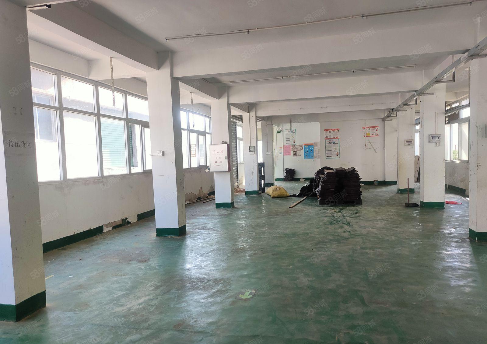 麻涌独院30000平方独院出租600平方起分租园区形象好进车