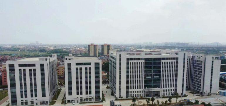 麻涌全新食品产业园出租，可分租