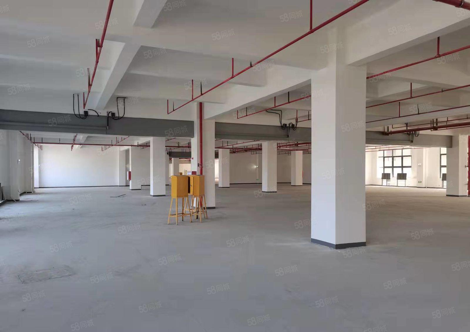 麻涌镇麻三工业区豪丰靠近黄浦厂房出租20000平