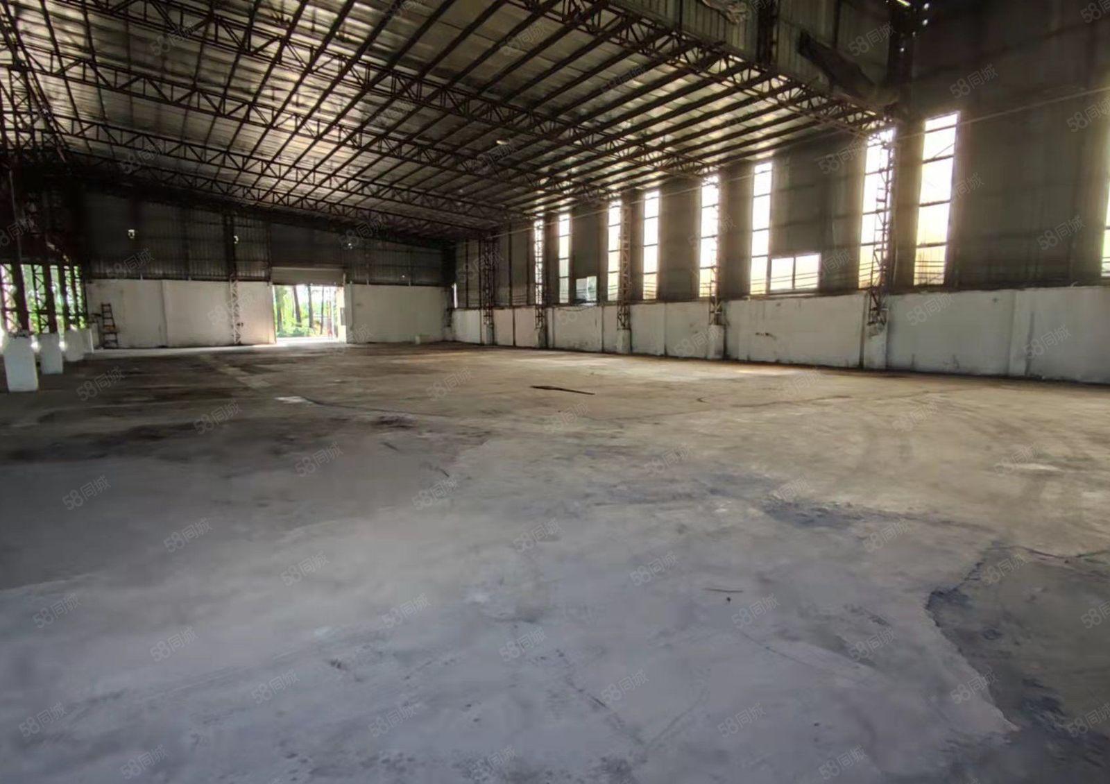 麻涌很优惠的厂房出租！只要17块一平方，现已经空出