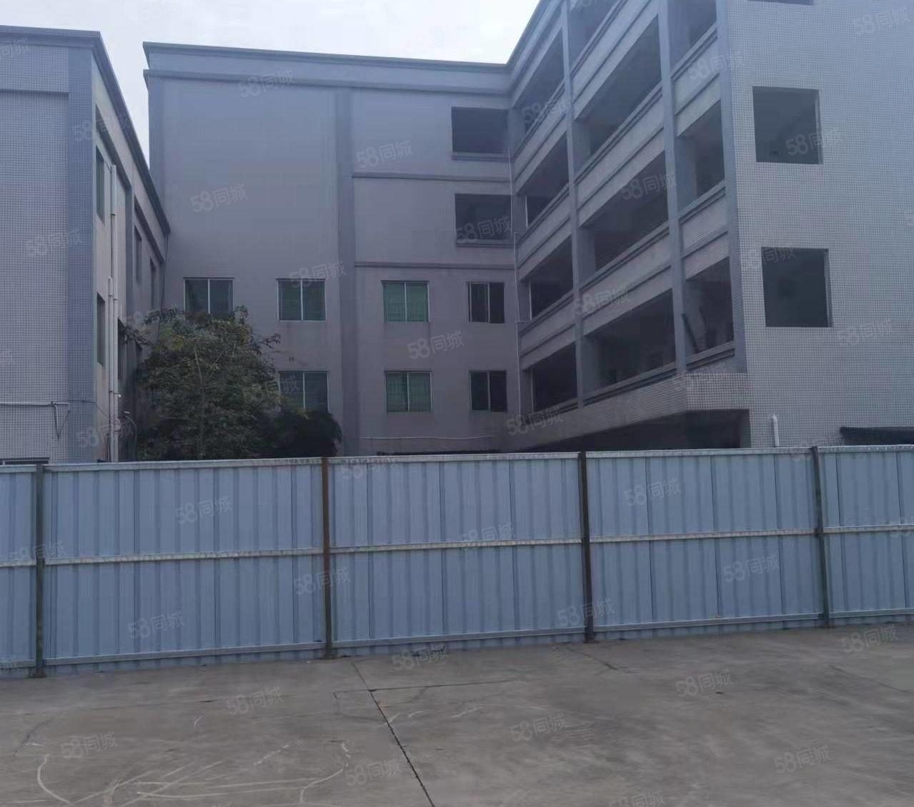 水乡独门独院单一层厂房出租