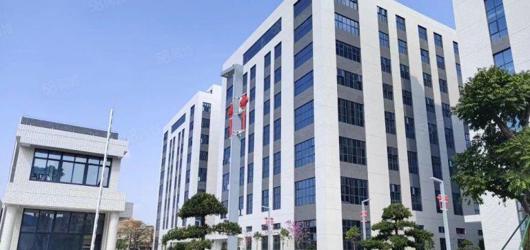 麻涌全新厂房出租可分租2000或4000或8000平方