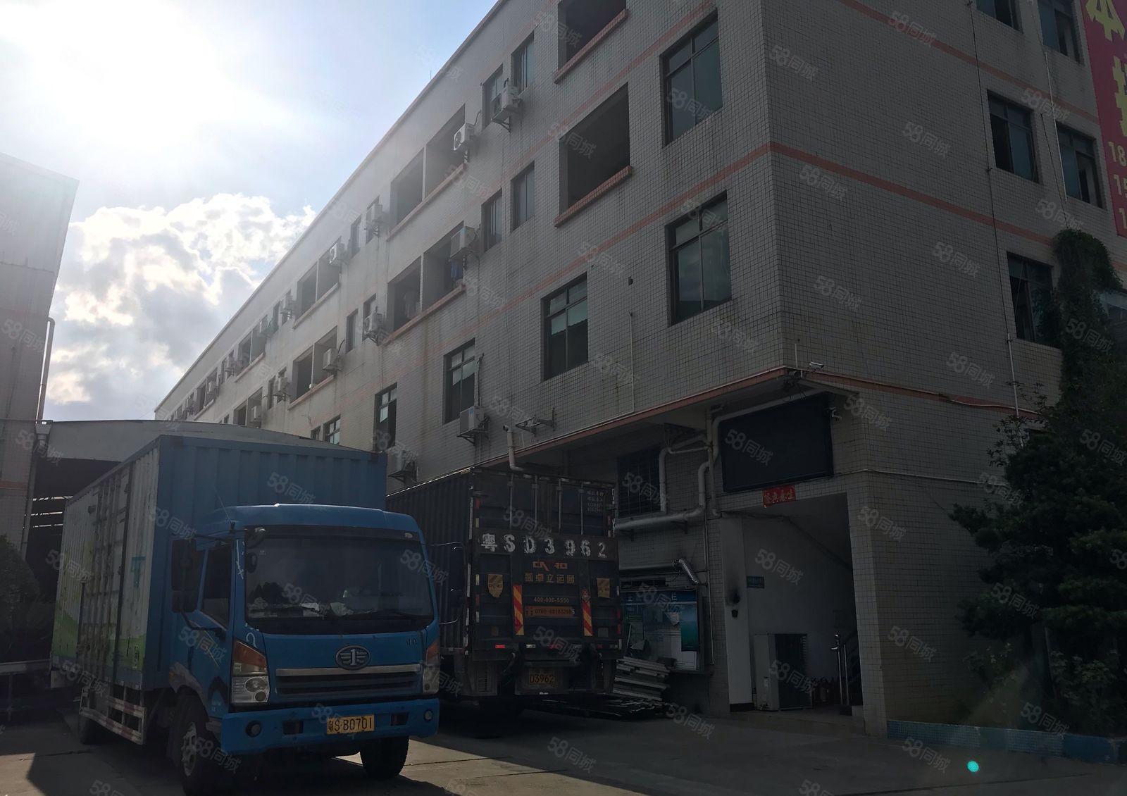 东莞市麻涌镇独院厂房