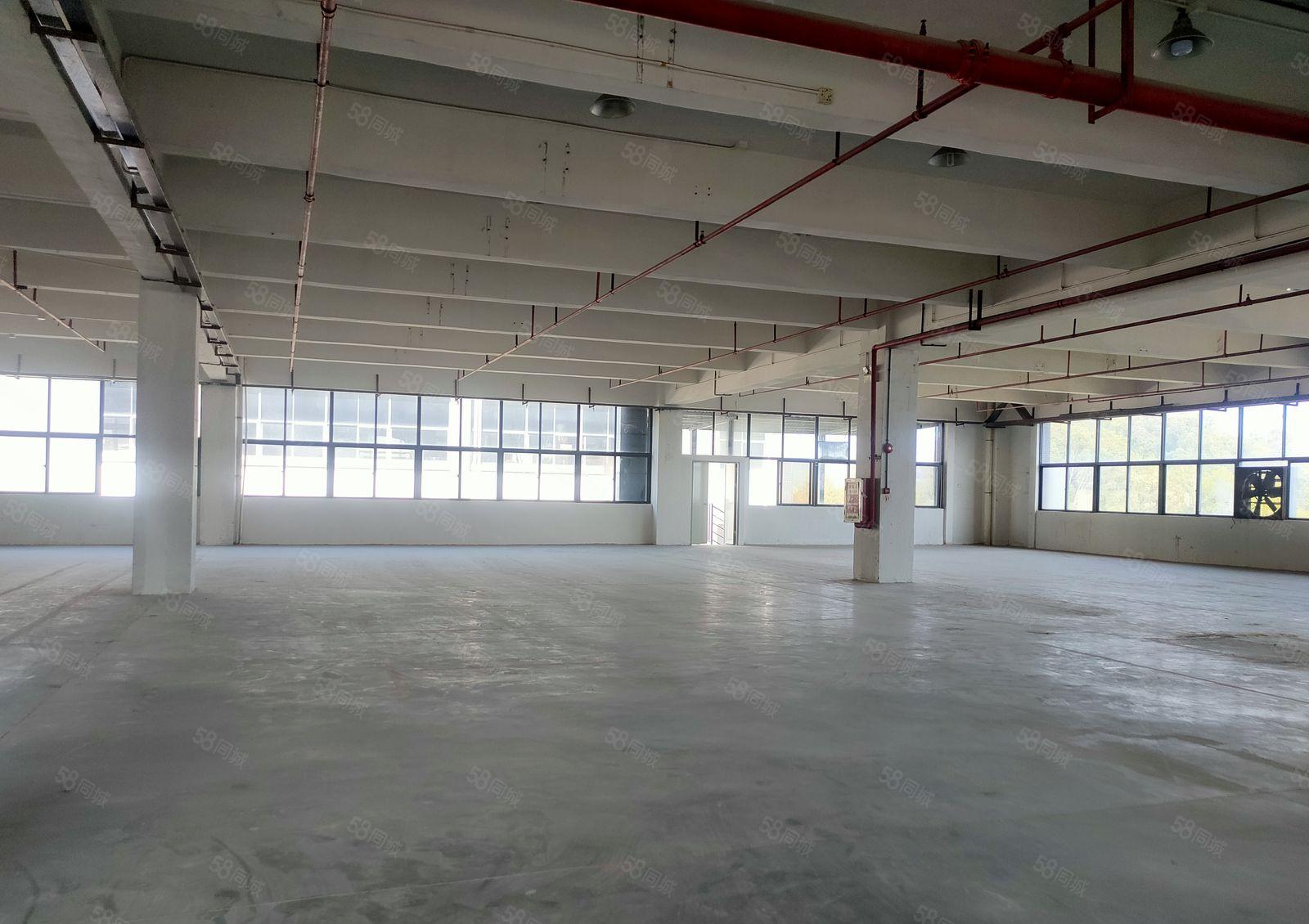 麻涌独院30000平方独院出租600平方起分租园区形象好进车