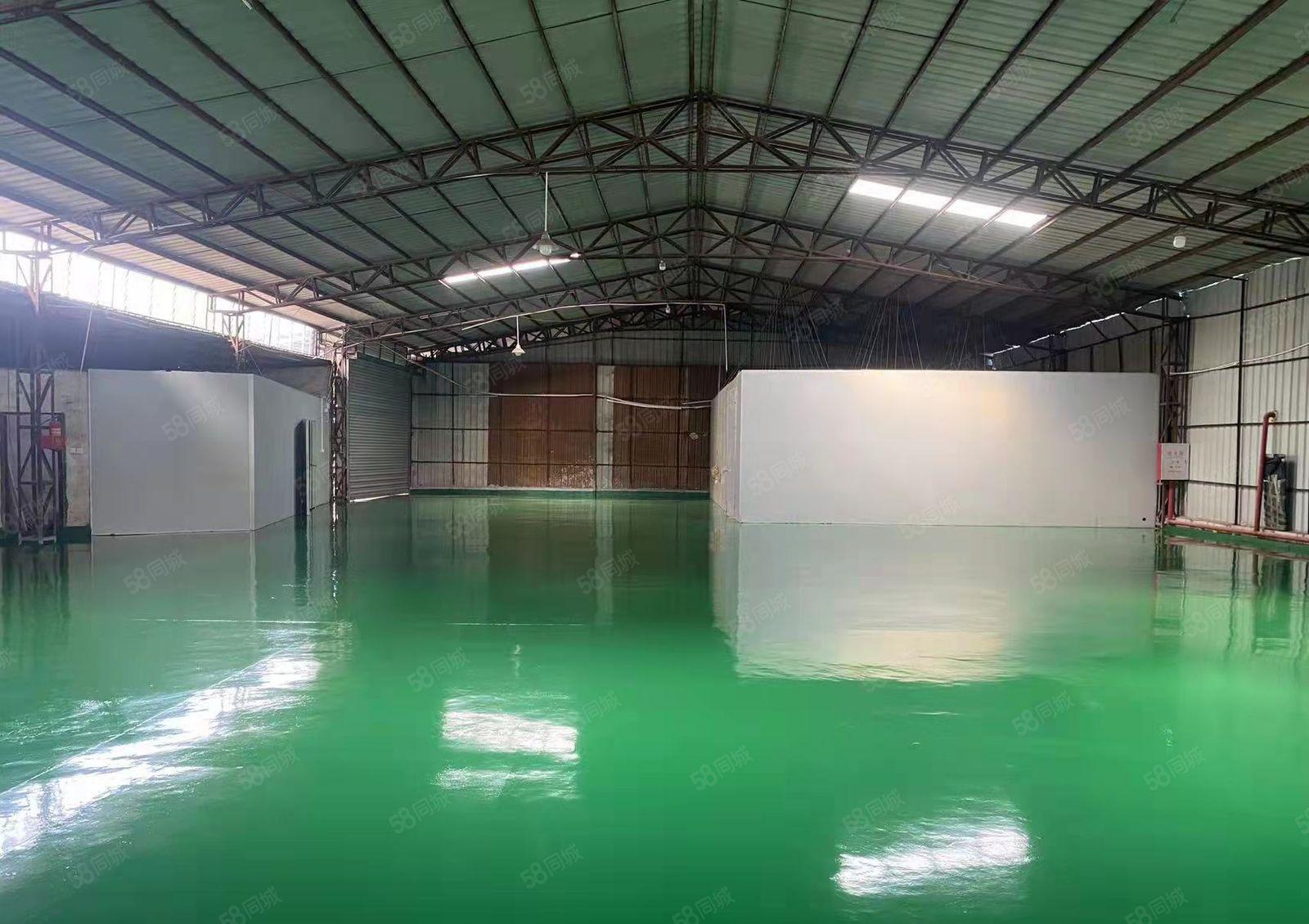 麻涌原房东小独院1000平方出租，小加工小仓库