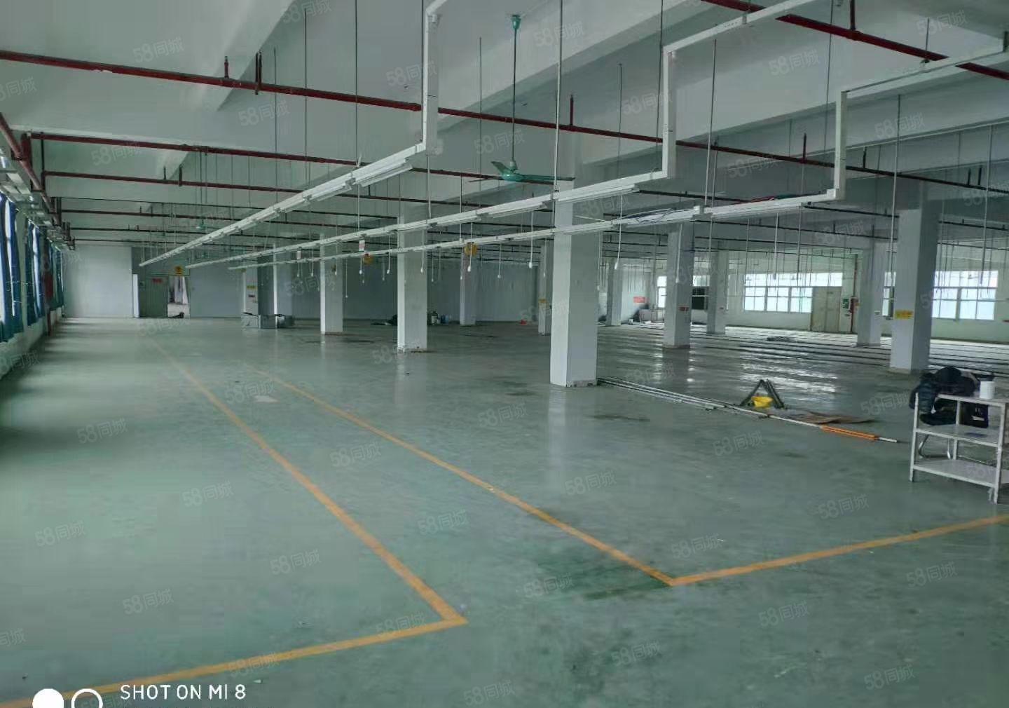 麻涌低价厂房出租可分租，一千平方以上随意分租