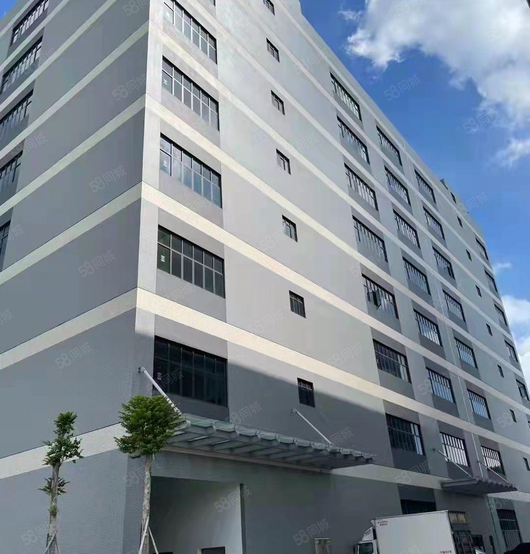 东莞麻涌高新智能电子产业园招商