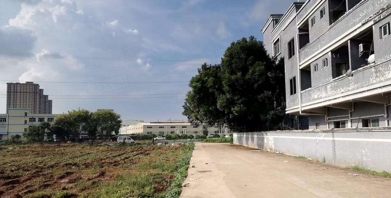 桥头镇单一层独院厂房出租滴水9米现成办公室周边无居民