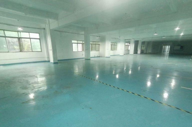 8元价格可谈原房东桥头企石1000平方精装修厂房出租可分租