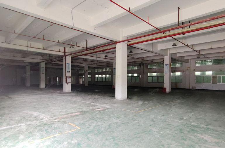 10块 10块 独门独院 桥头新出原房东 实际面积出租无公摊