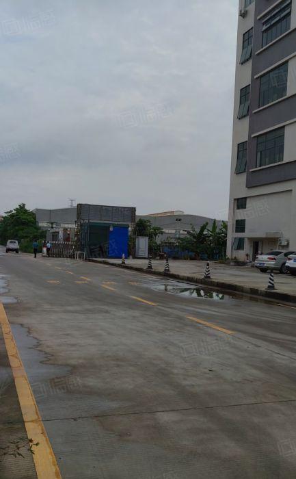 500平米起分租桥头3万平米独院红本厨房出租高速出口15元起