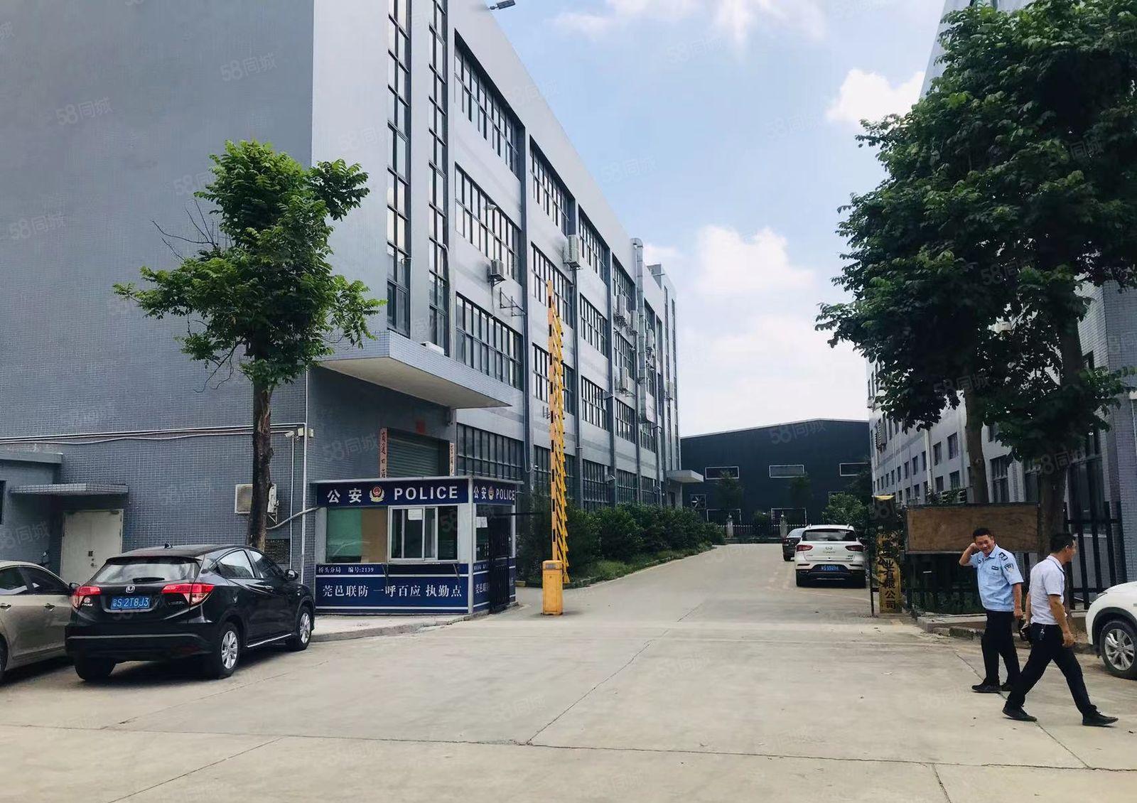 桥头镇新出楼上现成装修电子厂房，小面积800平方，现成装修！