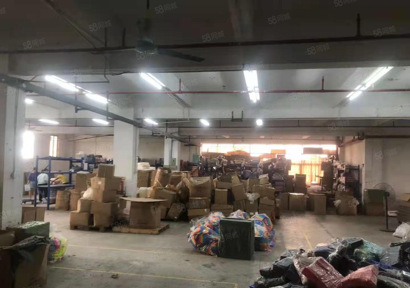 东莞桥头个人原房东标准二楼现成装修厂房1000平方低价出租