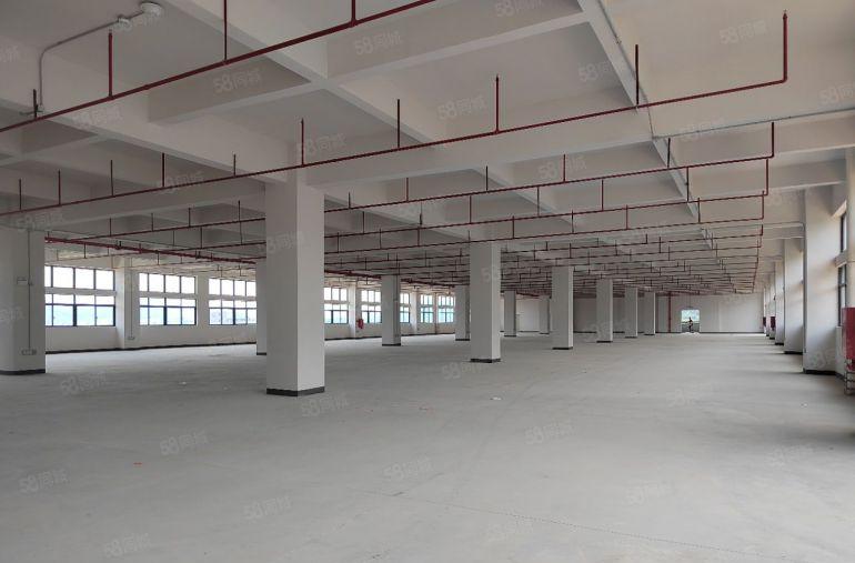 300平起分桥头镇大洲村大型园区 全新厂房45000平出租