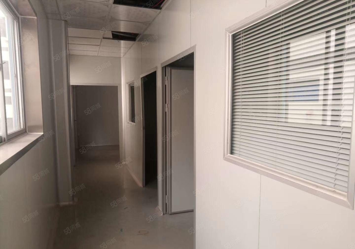 桥头镇原房东标准独院厂房二楼1200平方，现成地坪漆