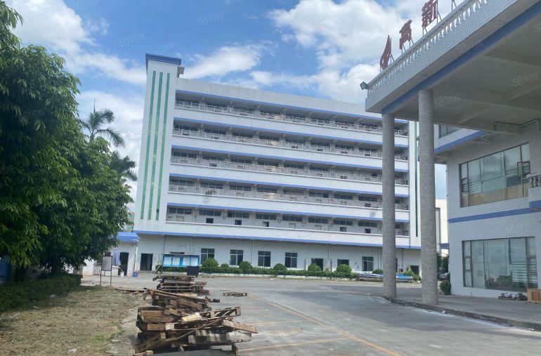 桥头镇新出两栋四层红本独院厂房出租带独立办公室。