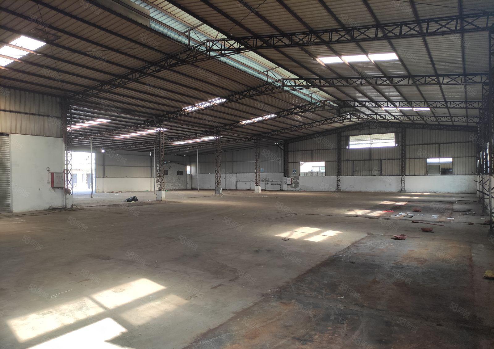 桥头镇新出个人面积单一层钢构厂房650平方，办公宿舍水电齐全