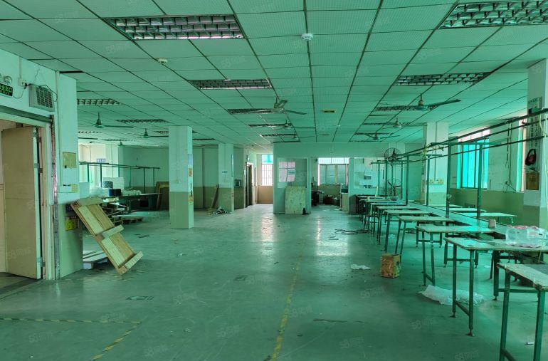 桥头田新原房东水电齐全带装修有电梯有办公室停车方便电费自交