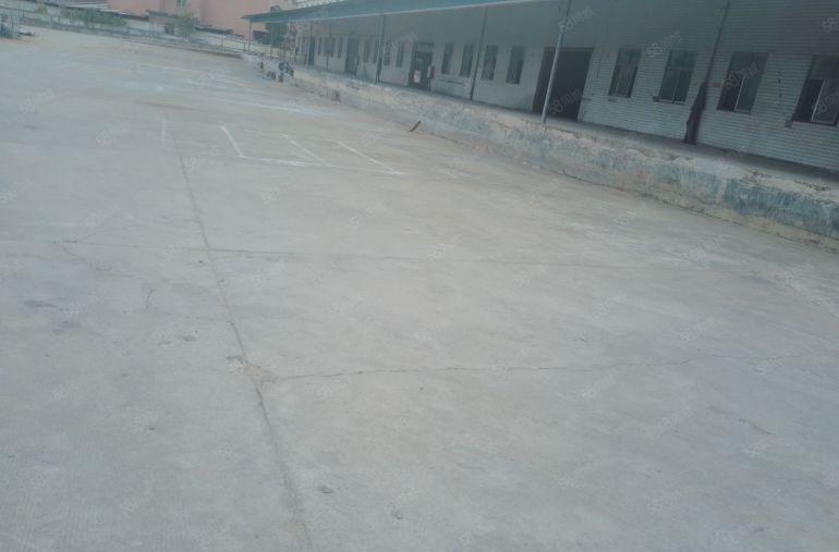 桥头镇原房东单一层钢构，现成水电到车间办公室。带行车空地超大