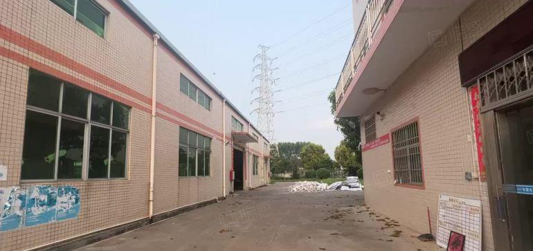 桥头空地超大单一层独门独院厂房 独立办公楼 砖墙到顶单一层