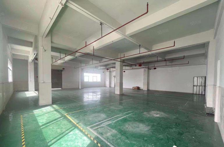 桥头小面积精装修厂房550平！独院原房东出租电子包装蓝牙仓库