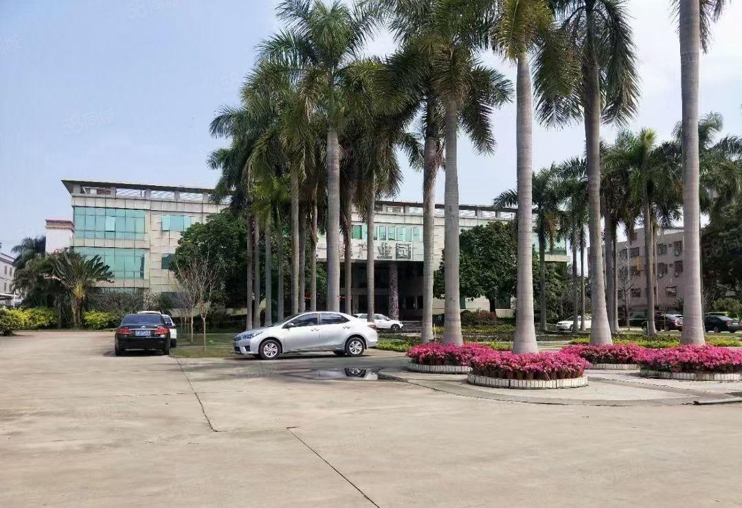 桥头镇原房东红本厂房小面积分租可办环评水电齐全空地超大500