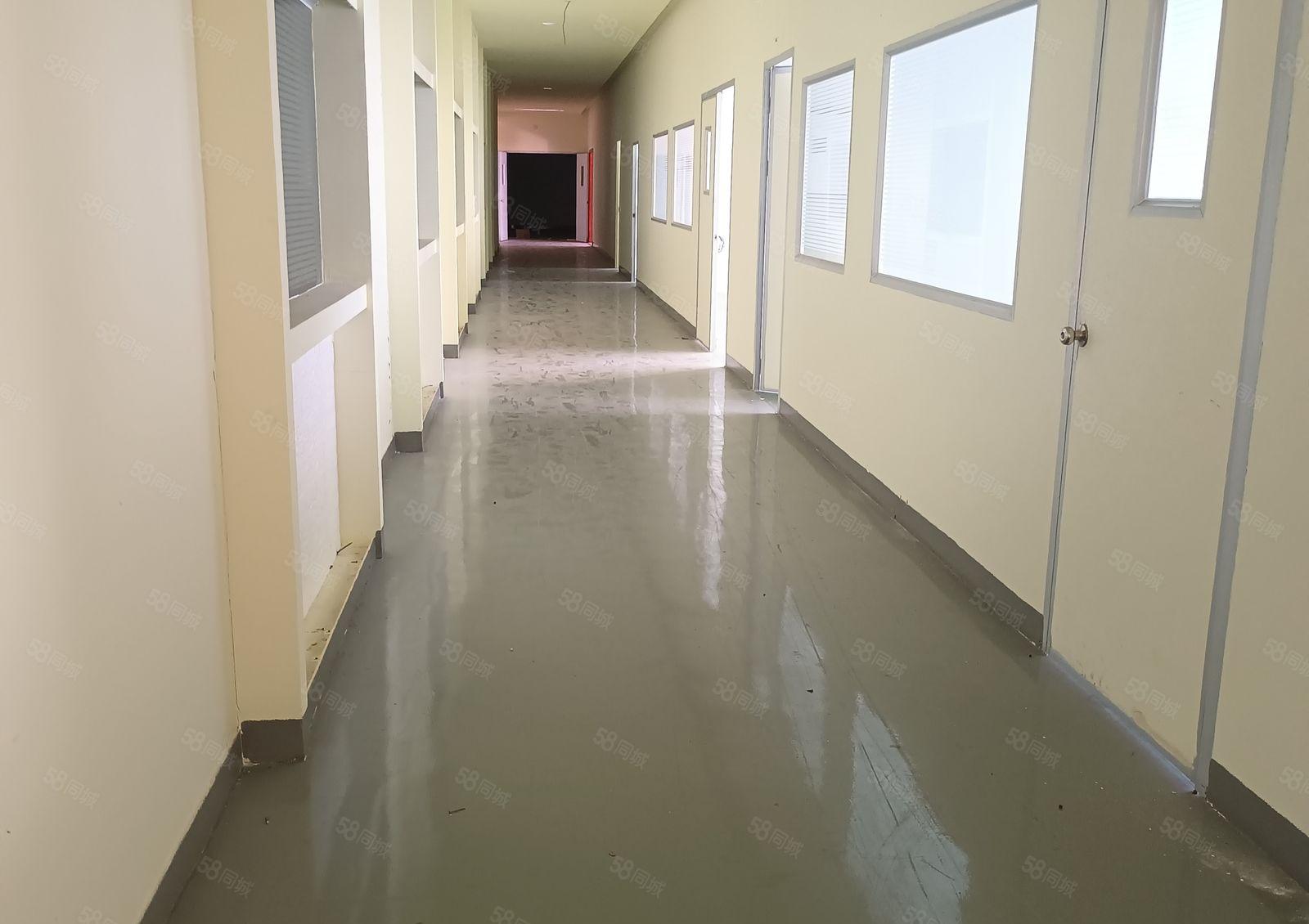 桥头新出标准厂房楼上有现成的地坪漆600平方低价出租地段繁华