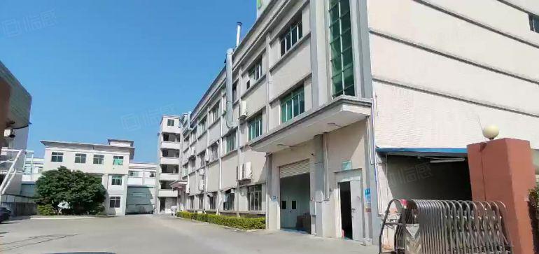 桥头镇大洲村 新出原房东独院6500平厂房出租 带装修办公室