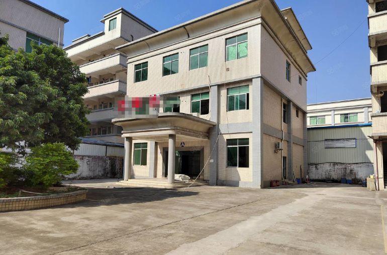 桥头镇大洲村 新出原房东独院6500平厂房出租 带装修办公室