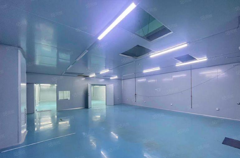 东莞桥头0公摊，原房东4600平独院厂房带精装无尘特价出租