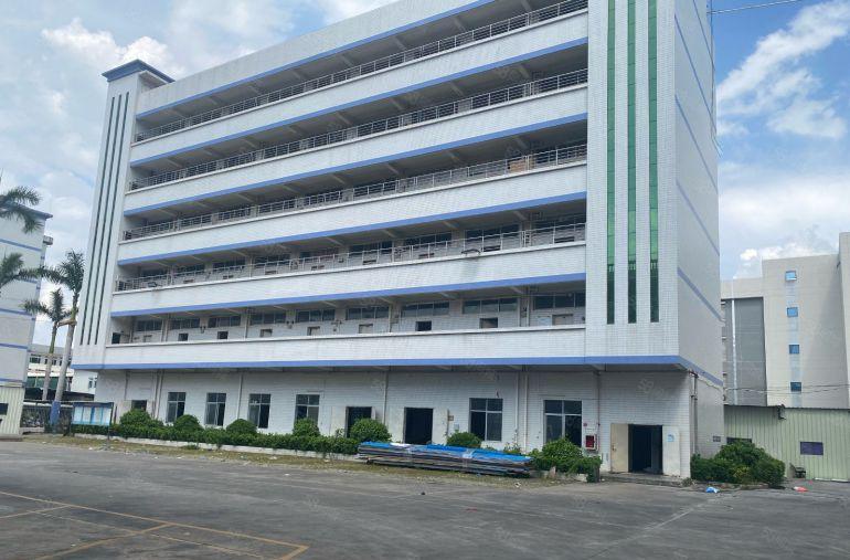 桥头镇新出两栋四层红本独院厂房出租带独立办公室。