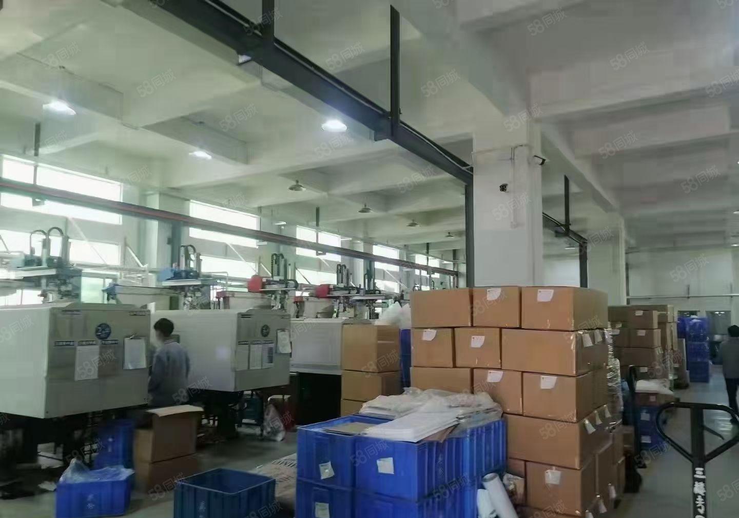 桥头镇原房东红本厂房小面积分租可办环评水电齐全空地超大500