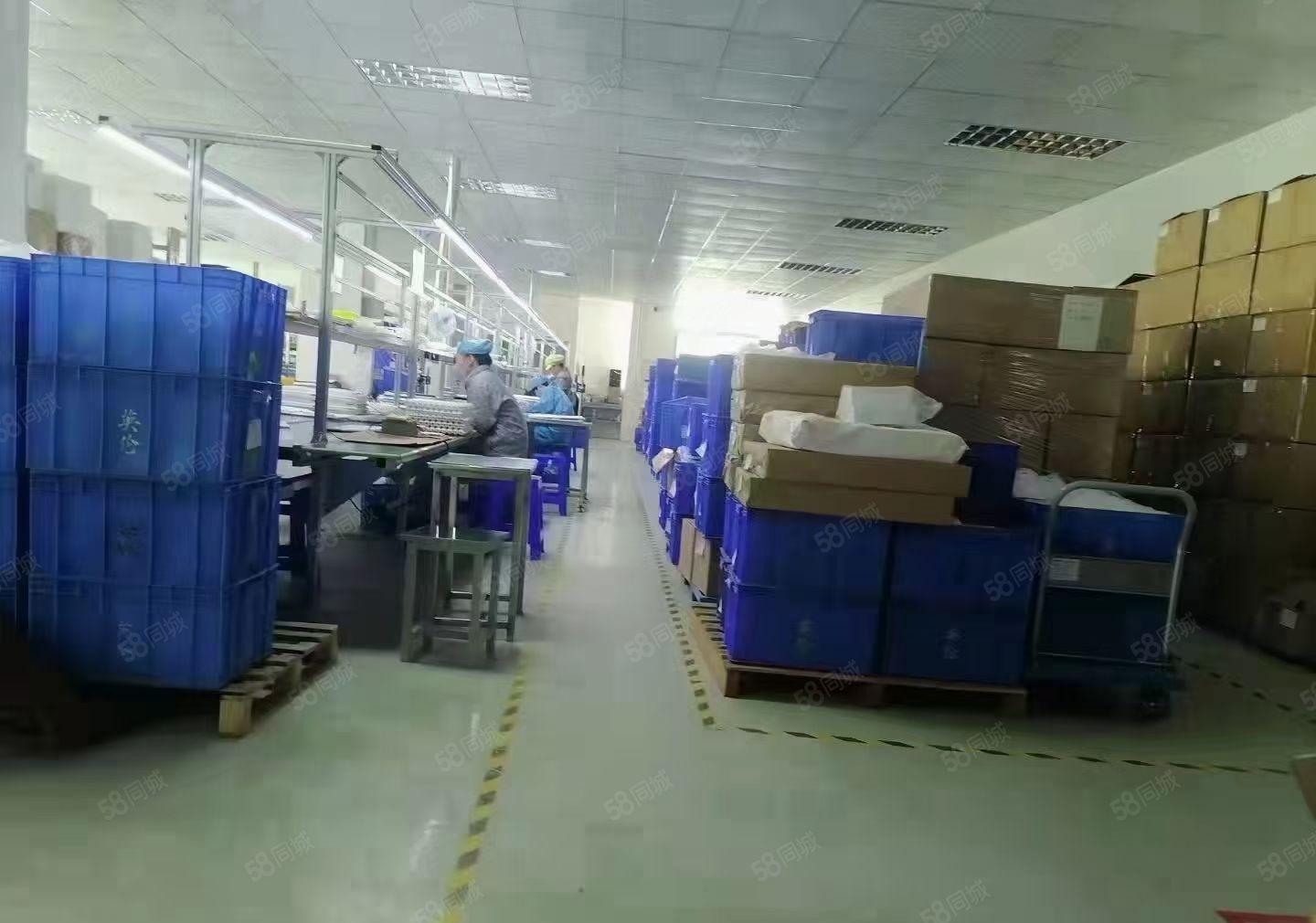 桥头镇原房东红本厂房小面积分租可办环评水电齐全空地超大500