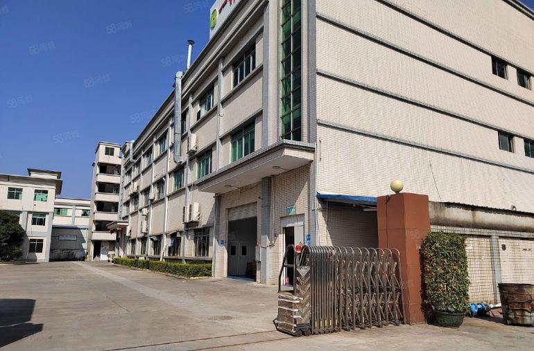 桥头镇大洲村 新出原房东独院6500平厂房出租 带装修办公室