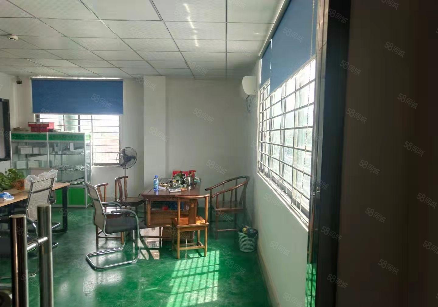 桥头镇新出厂小面积厂房分租一二楼1000平方，一楼高度7米