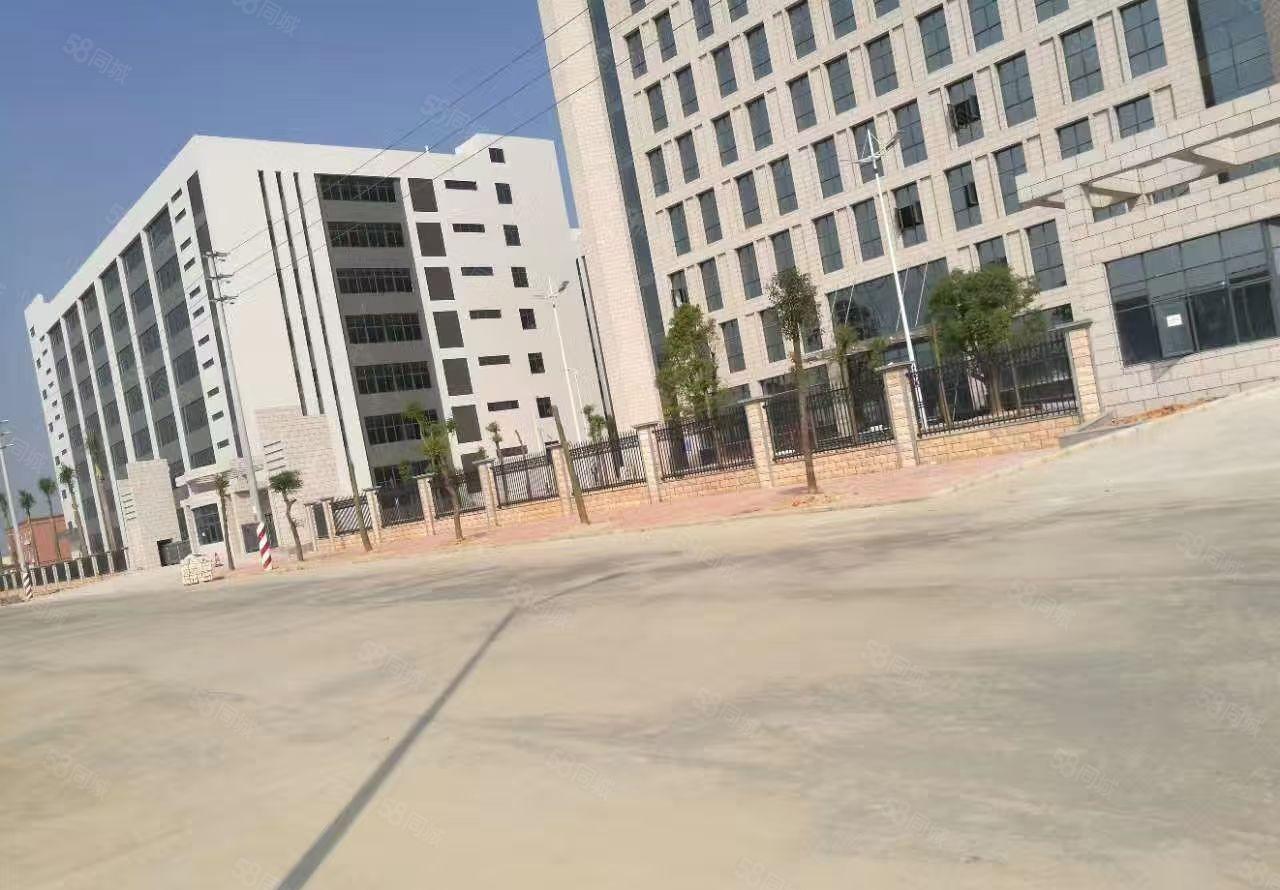 桥头镇新出工业区分租现成办公室800平方，精装修低价出租