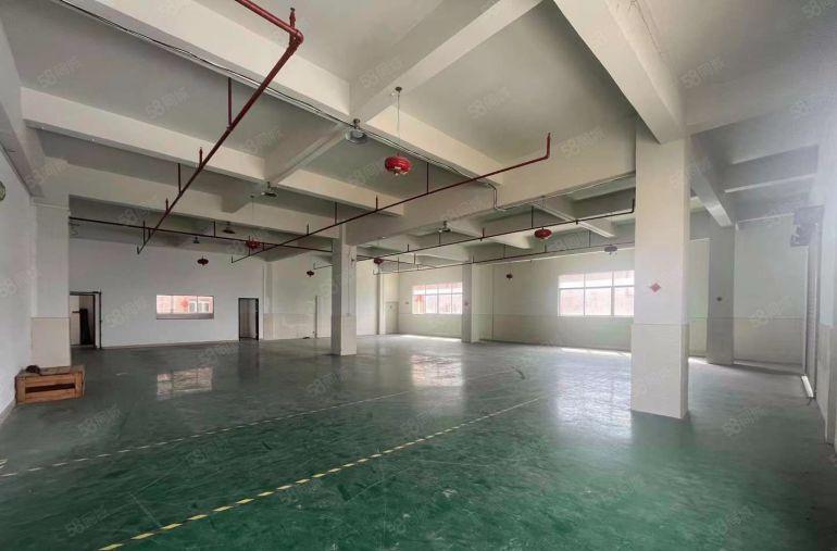 桥头小面积精装修厂房550平！独院原房东出租电子包装蓝牙仓库