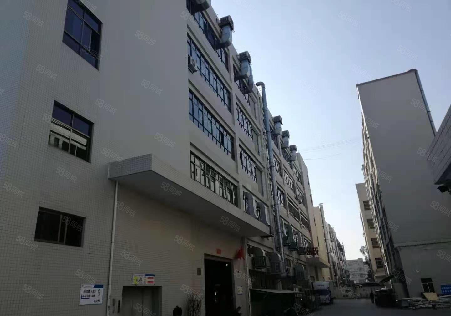 原房东，园区标准厂房9850平，空地大，大车进出方便